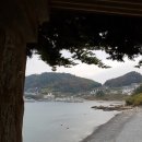 지세포아구찜 이미지