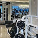 폼나"개" | 헬린이 탈출 각 잡았더니 웬 헬스장이 이렇게 폼나? 찐 후기 시작할게!