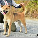 까치농장 이미지