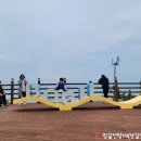 보길도우리민박 | [공지] 완도 가족여행 <노화•보길도>_"완도치유페이"