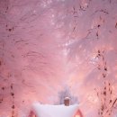 신선동-5 이미지