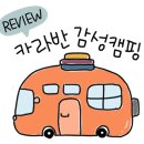 솔부엉이캠핑장 이미지
