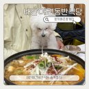 시원애견 | 태안 애견동반식당 꽃지원조꽃게집 에서 시원한 개국지 한그릇 ! 솔직후기