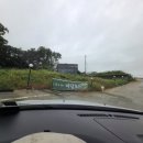 마담초이1
