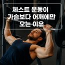 짐헥사곤 | [신항헬스장/신항pt/신항필라테스]🏋️‍♂️ 체스트 운동이 가슴보다 어깨에만 오는 이유/처음오시는 분들을...