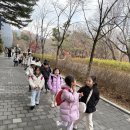 비룡체육관 | 놀이 · 자연 · 우정이 만난 날 - 우리 아이들 과천 소풍 후기