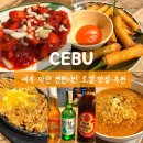 로그 | 세부 딥질로그 후기｜막탄 로컬·현지 맛집으로 유명한 바베큐 (내돈내산)