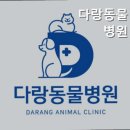 다랑 동물병원 네이버블로그
