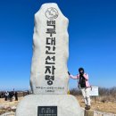 바우길 1구간 | 2월의 선자령, 잠실 출발 알레버스 첫 탑승 후기 - 살방살방 11.4km 트래킹!