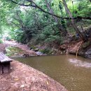 다람쥐마을 이미지