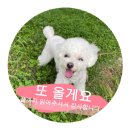 낙곱새밀키트 순이할매낙지 캠핑요리 추천