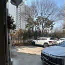 [일산] 가좌마을 속눈썹 파마 추천 ,아린아이래쉬