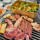 신대장군집 이미지
