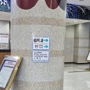 오투 스키 앤 리조트 | 강원도 오투리조트 아이와 가기 좋은 가족숙소 골드 함백동 추천