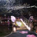 꽃보라동산 이미지