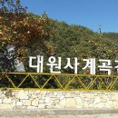 대원사계곡 이미지