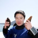 남해다이브리조트 Daum카페