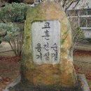 대전중학교 Daum카페