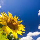 다우리요양원 이미지