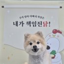 하울팟 위례점 이미지