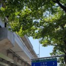 계현주유소 이미지