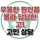 [온라인상담: 우울한 원인을 몰라 답답한 고1] 우울증, 불면증, 청소년 상담, 강남사회성센터, 한국아동청소년심리상담센터 이미지