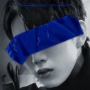 하모니 티브이데일리