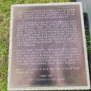 장자호수생태공원 | 장미꽃이 한창인 장자 호수 생태 공원