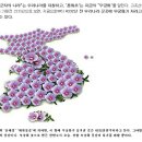 580장/ 삼천리 반도 금수강산 이미지