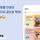 반려인생
