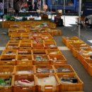 장평전통시장 이미지