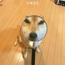 미소 이미지