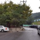 다전초 앞 도로 이미지