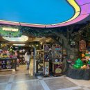 번개게임장 | [내돈내산] 3월의 롯데월드 평일 오후권 후기