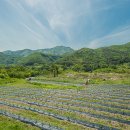 설피농장 이미지