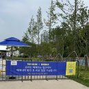 한강사업본부 | 잠실한강공원 수영장 이용후기 꿀팁 운영시간 준비물 주차 매점정보
