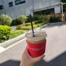 근무 후 동해선타고 이쁜카페갈려고했으나,, 물고기이사센터 된 썰,,🥹 (투썸/간절곶보배반점/구피이사🐠)