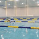 (주)돌핀수영 이미지