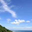 제주도의 푸른 여행 8.3~8.8 의 발자취
