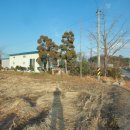 이교뒷들 이미지