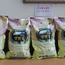 안동양반 이미지