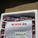 보한농장 이미지