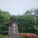휴애리 | [제주] 수국가득한 휴애리 포토스팟 솔직후기
