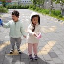 봄꽃과 무당벌레관찰, 바람개비돌리기 / 클라베 이미지
