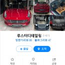 루스터 디테일링 이미지