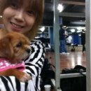 강아지사랑 이미지