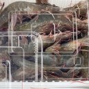 하늘부부농장 이미지