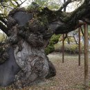 충효큰마을 이미지