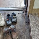 대송 재가복지센터 이미지