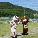 고령성주축협한우명품관 이미지